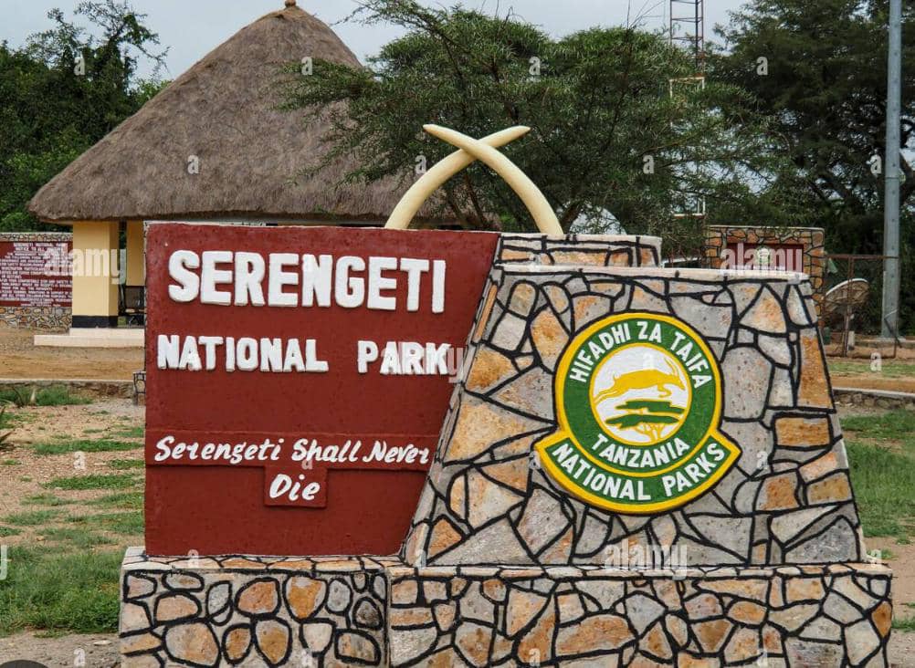 Tanzania Journey